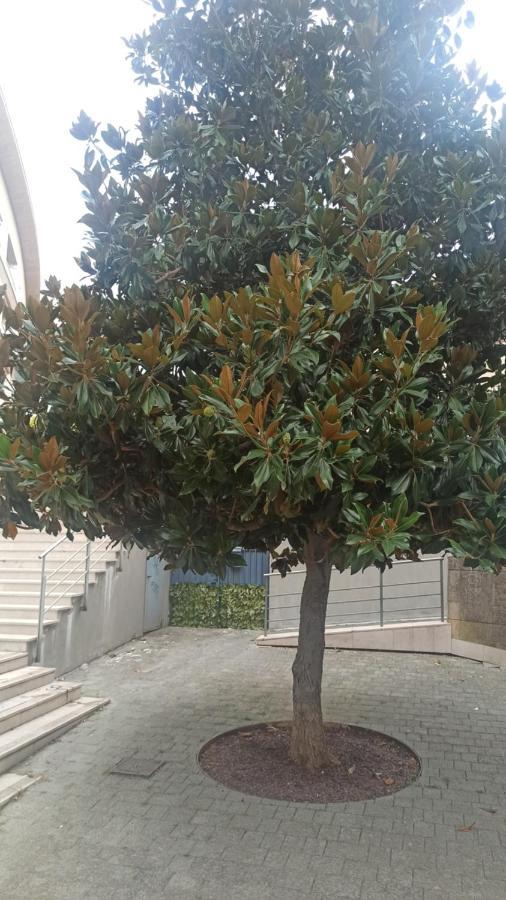 Apartament Rosselli93 Matera Zewnętrze zdjęcie